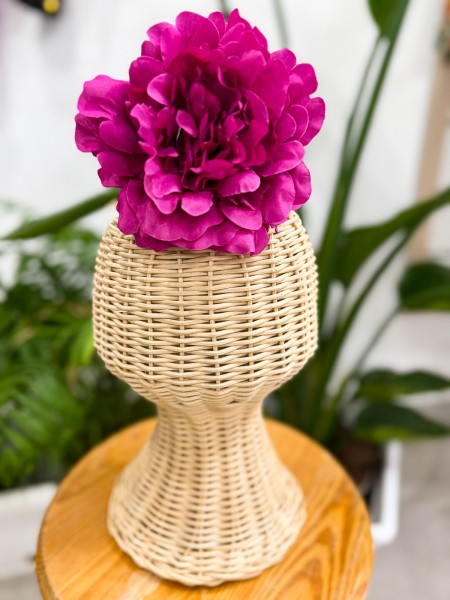 PEONIA P. BUGANVILLA