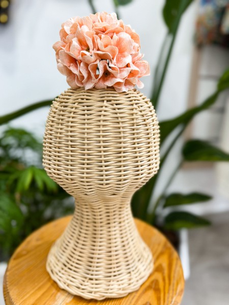 HORTENSIA SALMÓN CLARITO