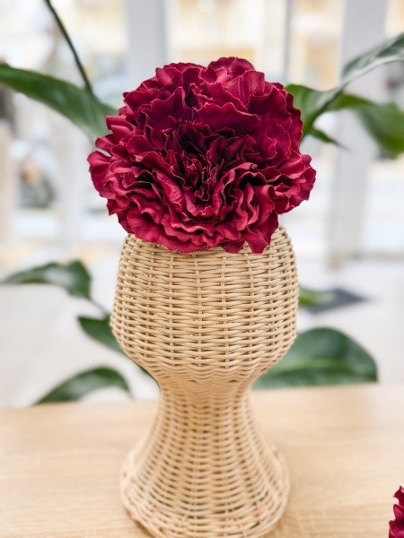 PEONIA G. TINTO OSCURO