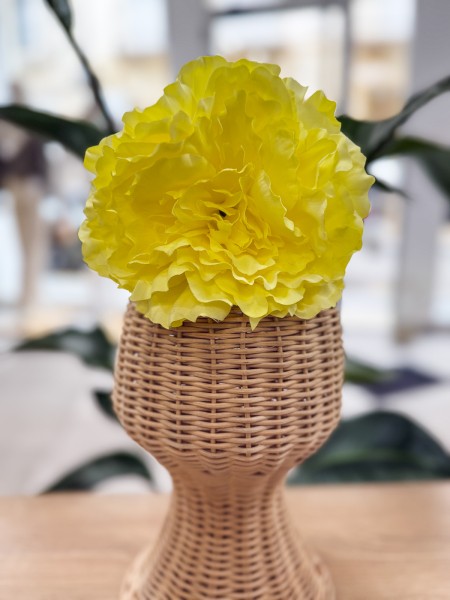 PEONIA G AMARILLO LIMON