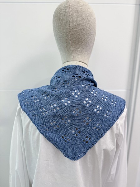 PICO TENESIS AZULÓN 2